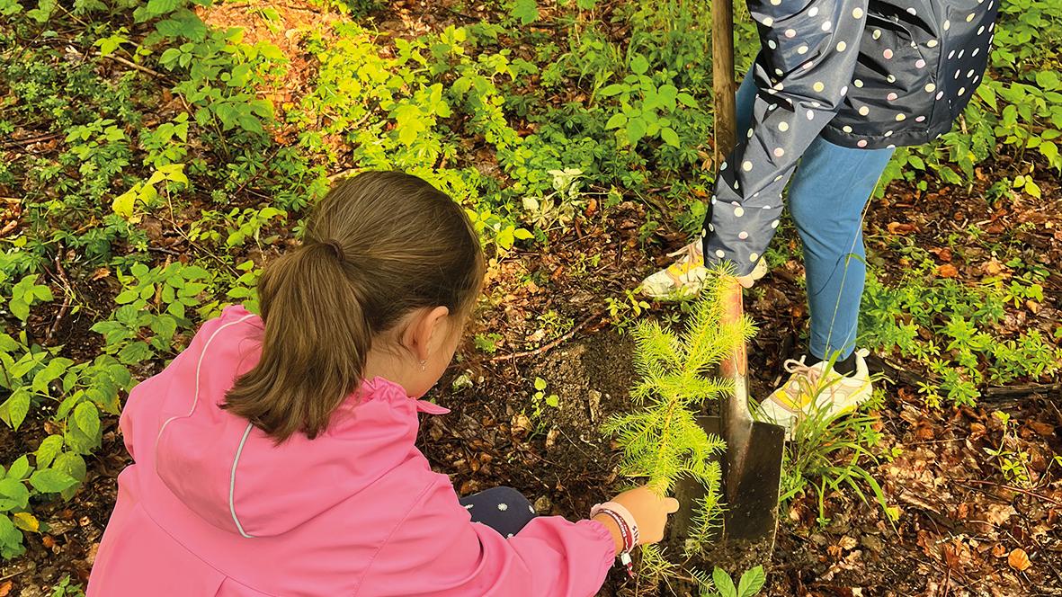 Kinder beim Pflanzen eines Baumes