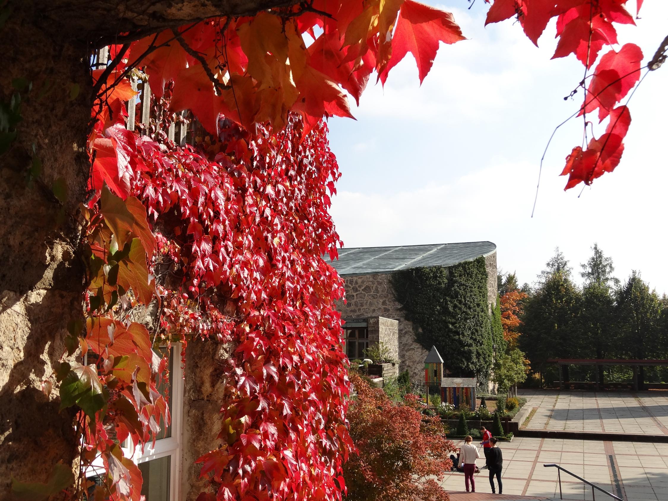 Ansicht Hof im Herbst