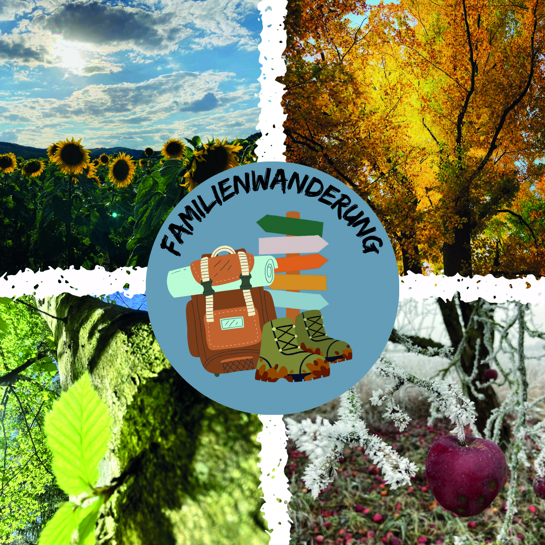 Ausschreibungsbild Familienwanderungen