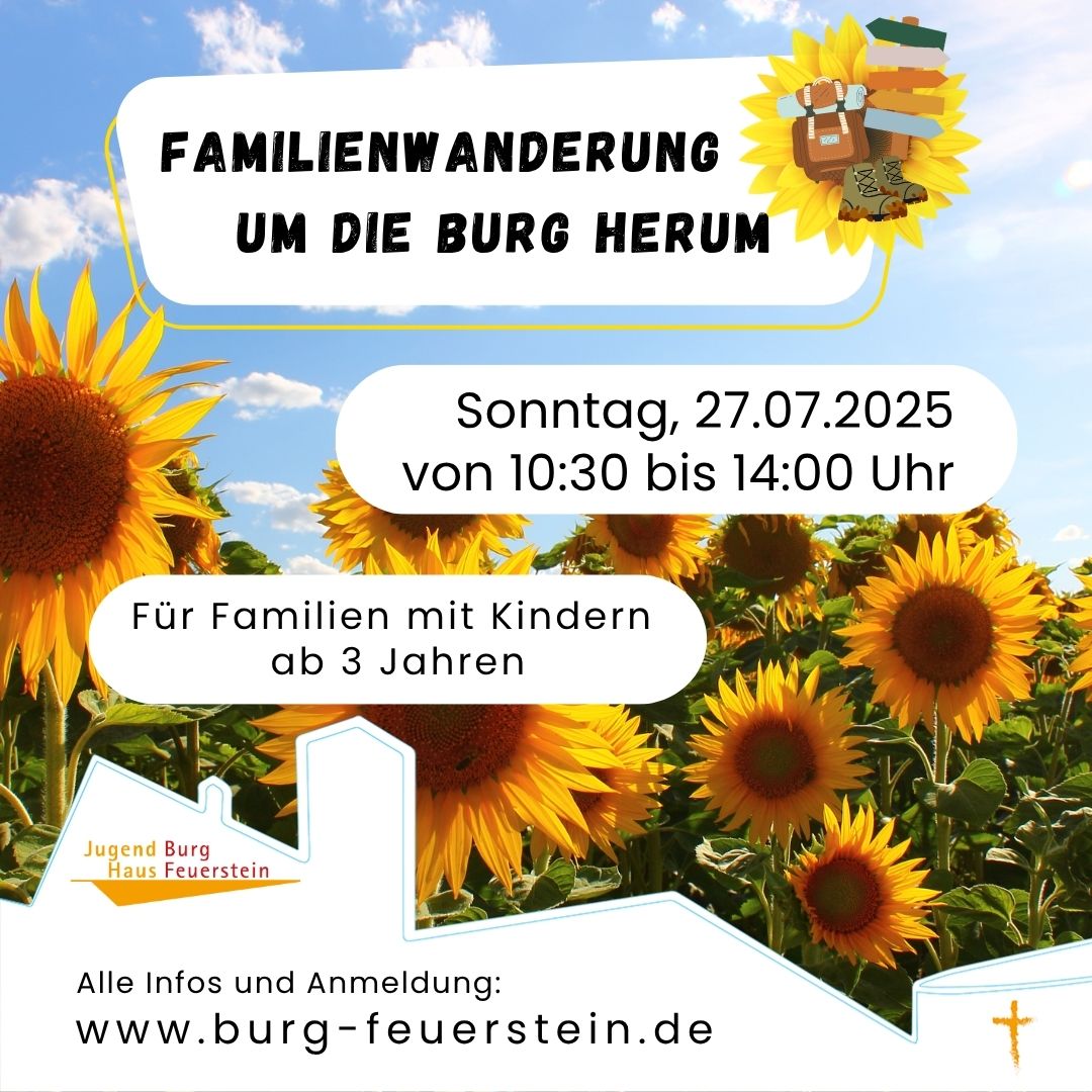 Sonnenblumen auf Feld