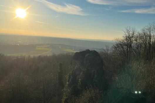 Ausblick in die Natur