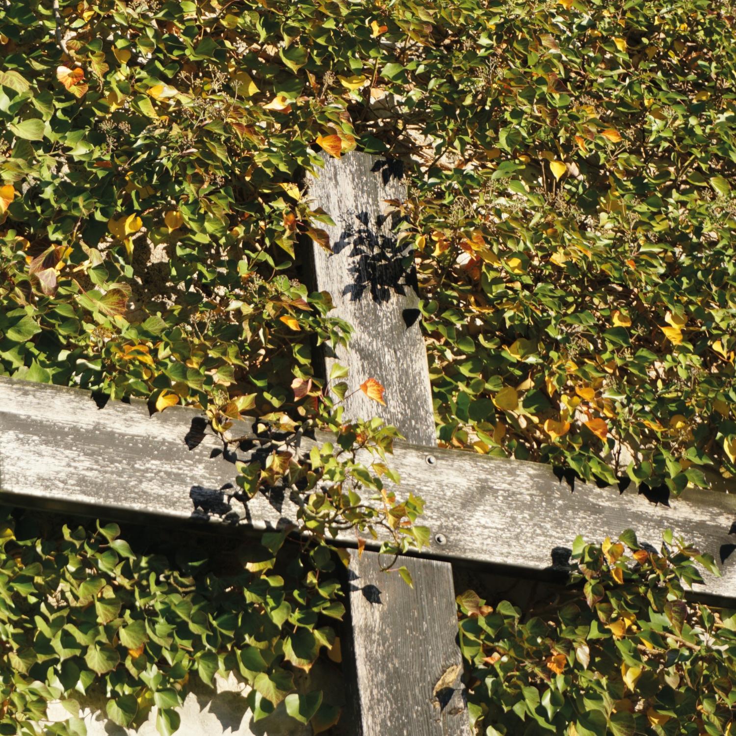 Kreuz an der Burgmauer