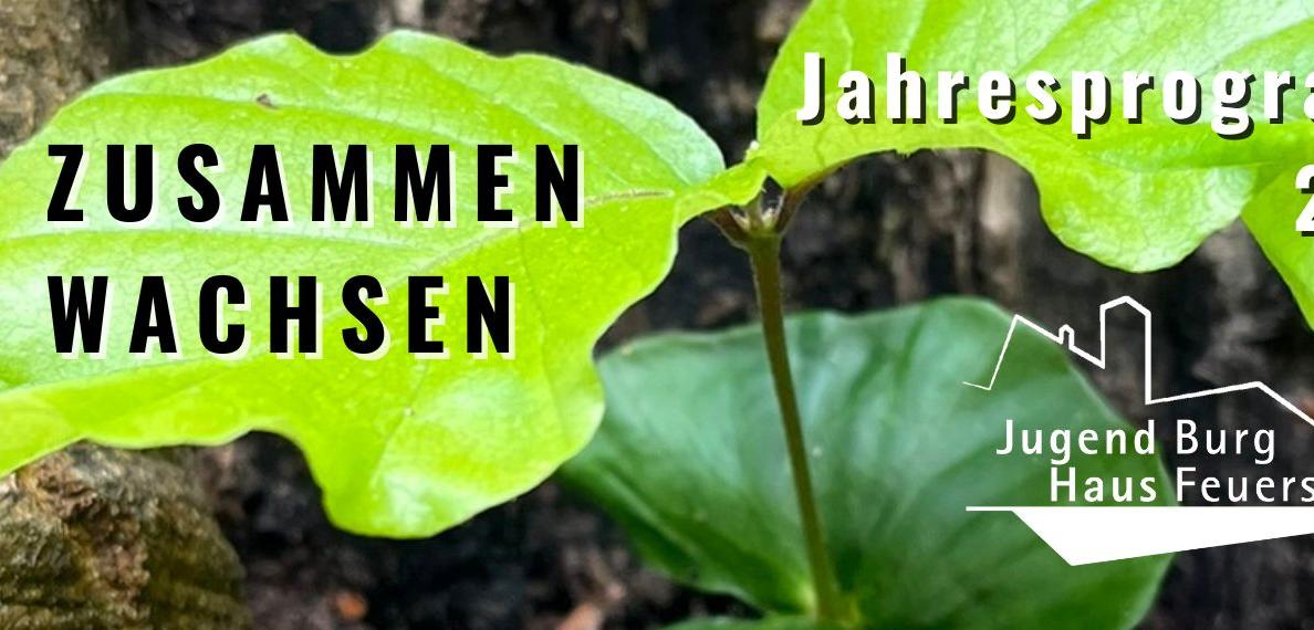 Alle Kurse und Veranstaltungen