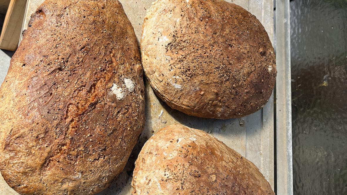 Selbst gebackenes Brot aus dem Backofen