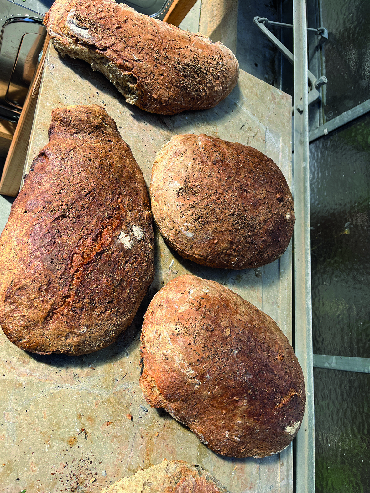Selbst gebackenes Brot aus dem Backofen