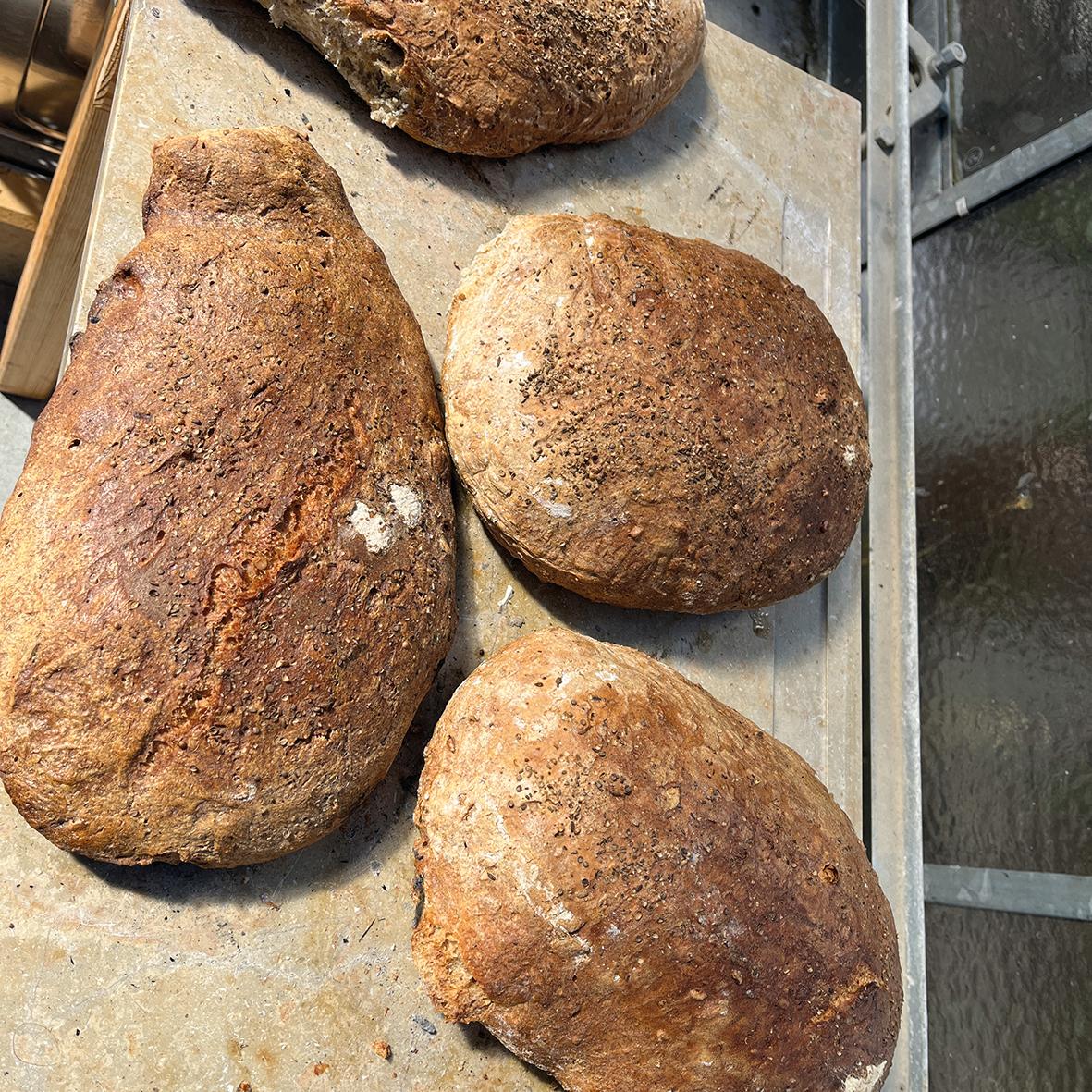 Selbst gebackenes Brot aus dem Backofen