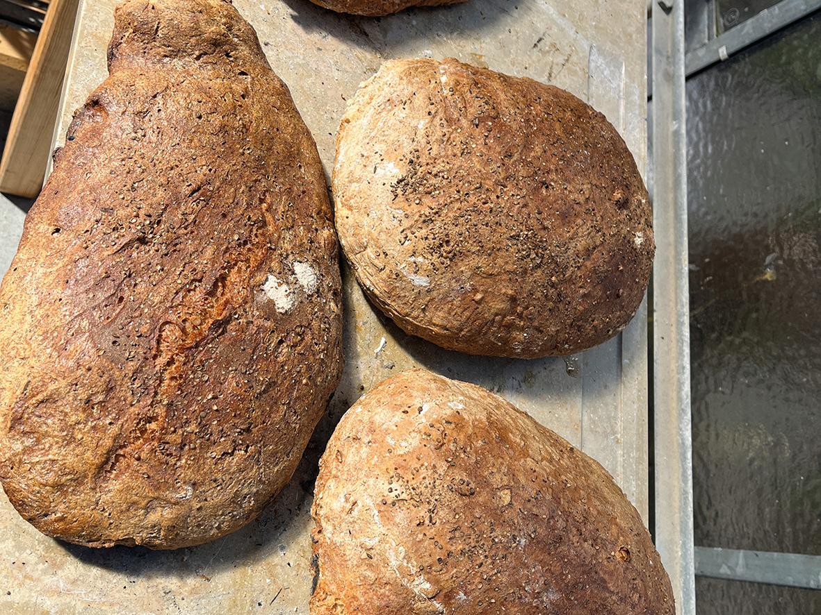 Selbst gebackenes Brot aus dem Backofen