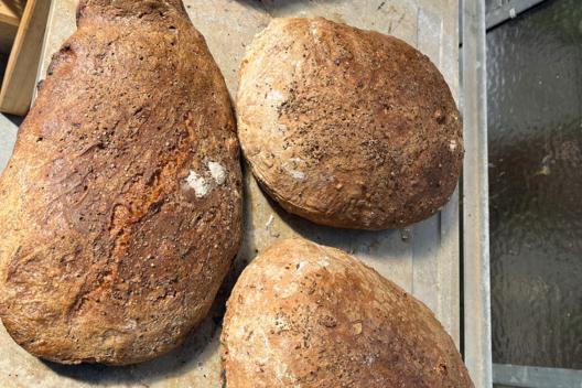 Selbst gebackenes Brot aus dem Backofen