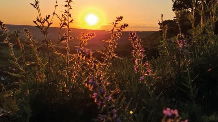 Sonnenuntergang Fränkische Schweiz