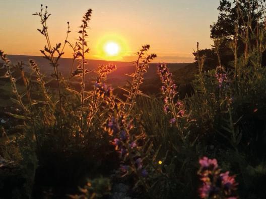 Sonnenuntergang Fränkische Schweiz
