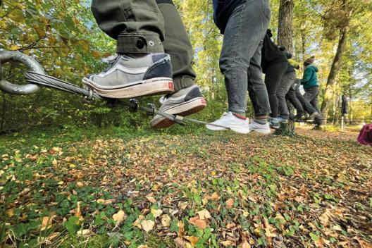 Tagesfortbildung-Niedrigseilgarten