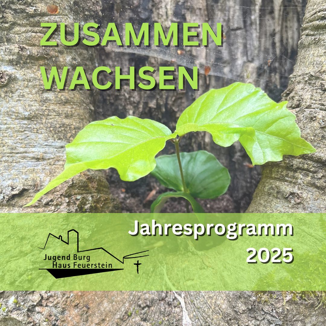 Titelbild Jahresflyer 2025