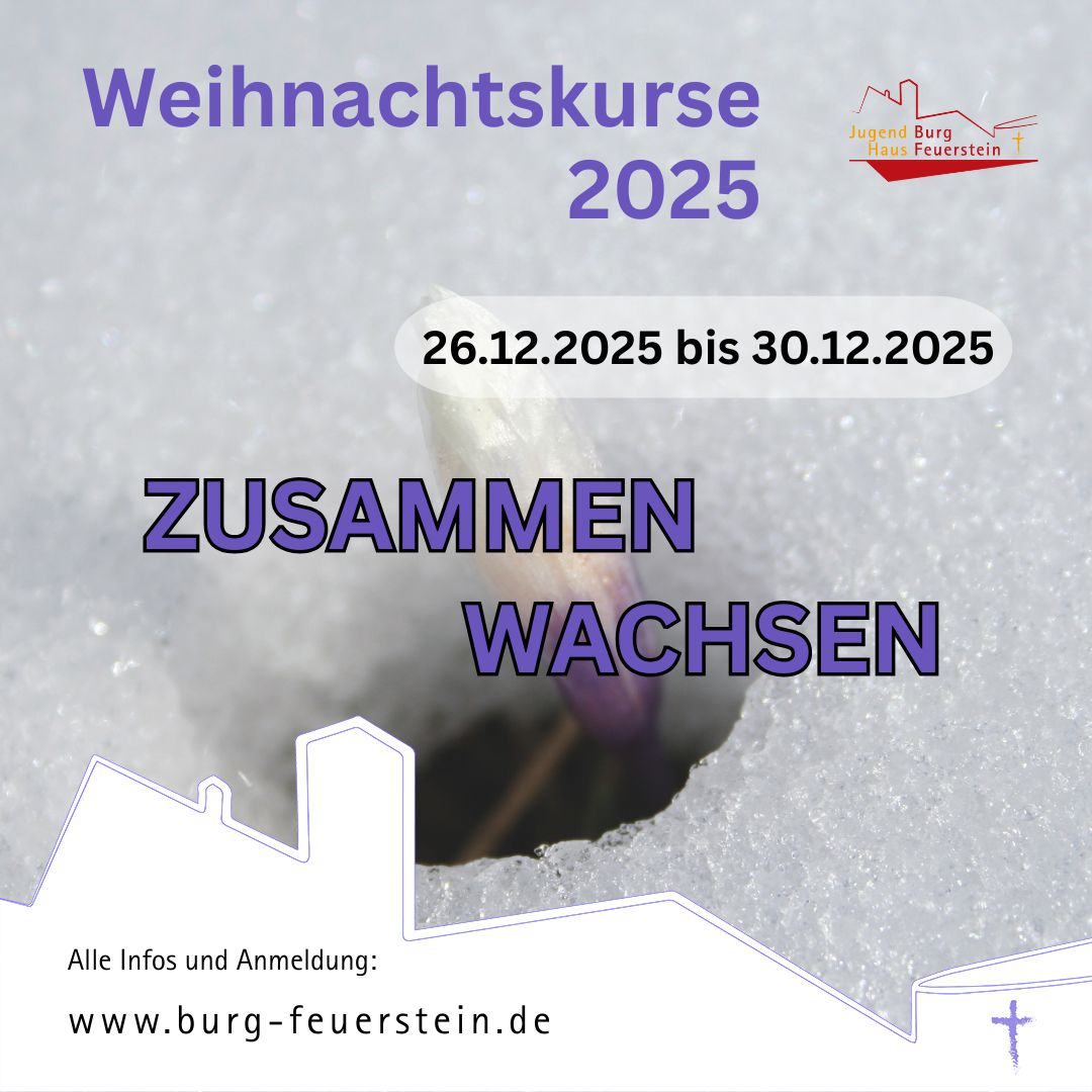 Weihnachtskurse 2025(1)
