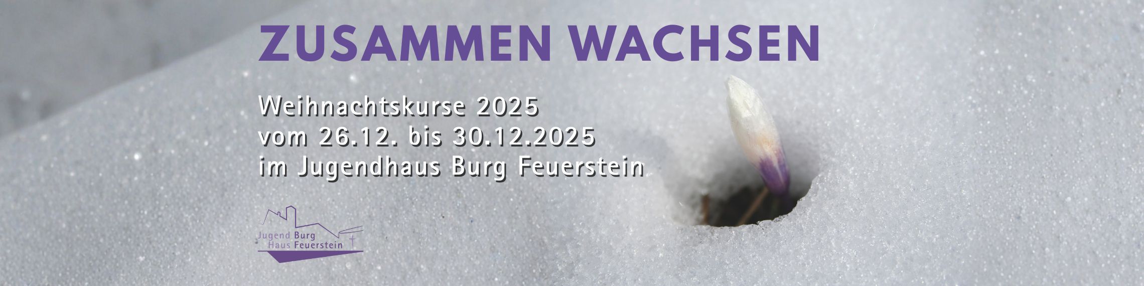 Alle Infos & Kursangebote