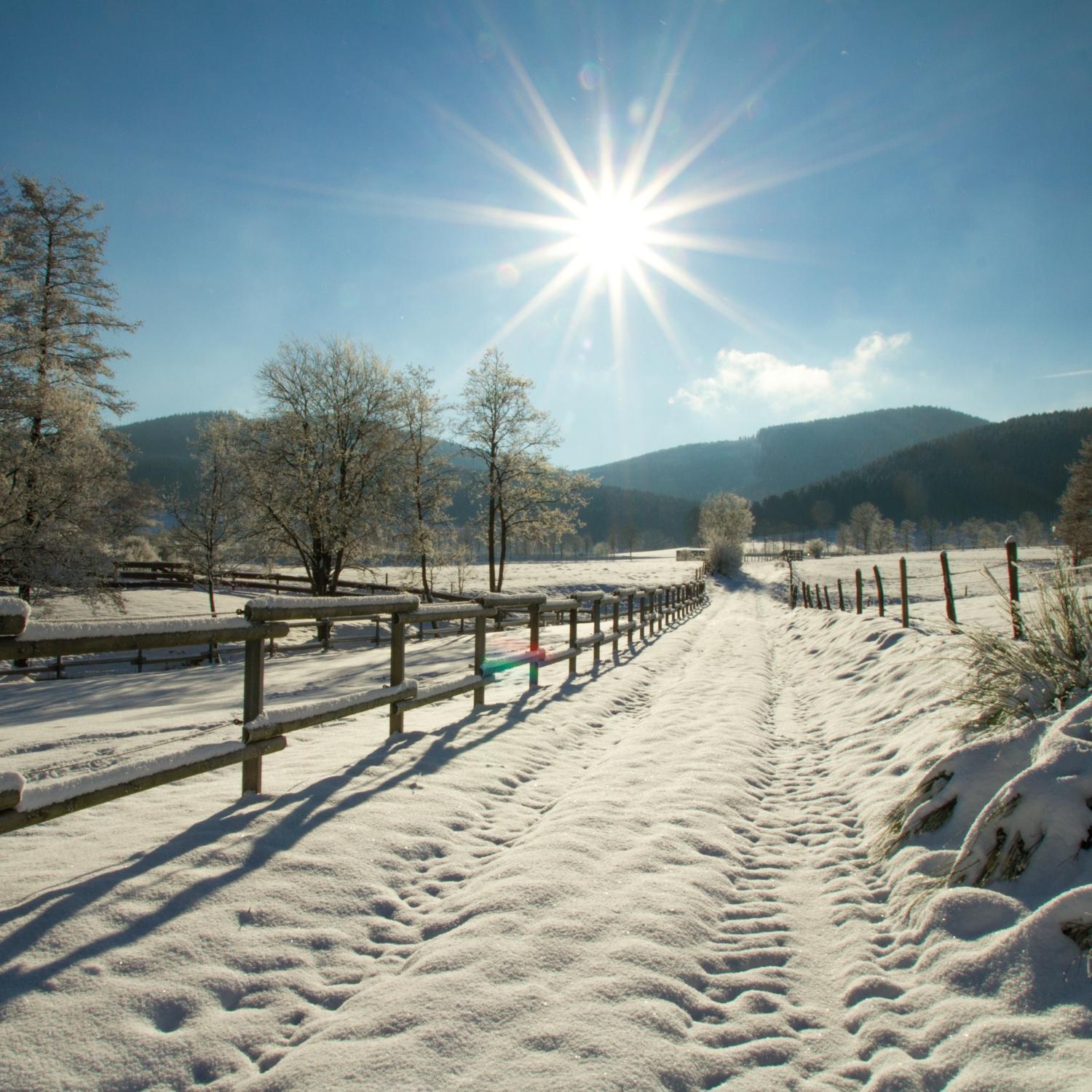 Winterwanderweg im Sauerland