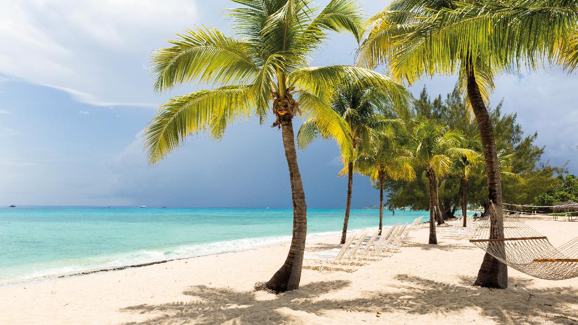 a-white-sand-beach-turquoise-sea-and-palm-trees-2023-11-27-05-29-28-utc