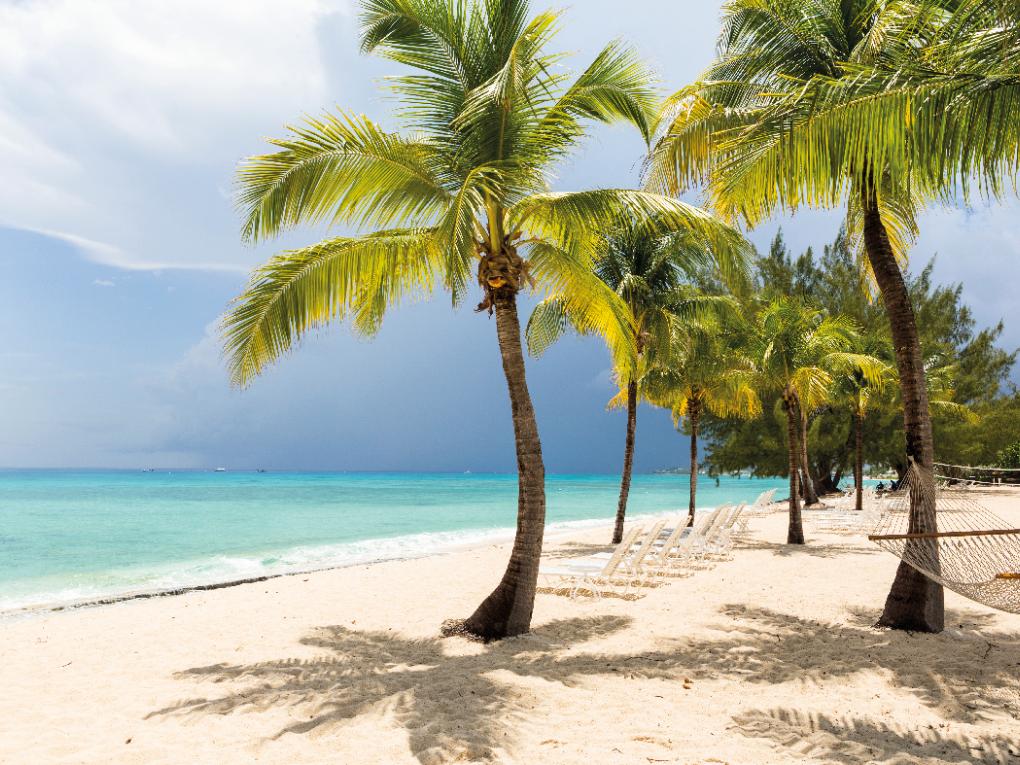 a-white-sand-beach-turquoise-sea-and-palm-trees-2023-11-27-05-29-28-utc