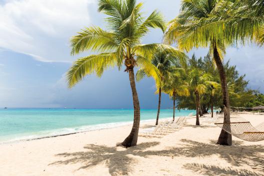 a-white-sand-beach-turquoise-sea-and-palm-trees-2023-11-27-05-29-28-utc