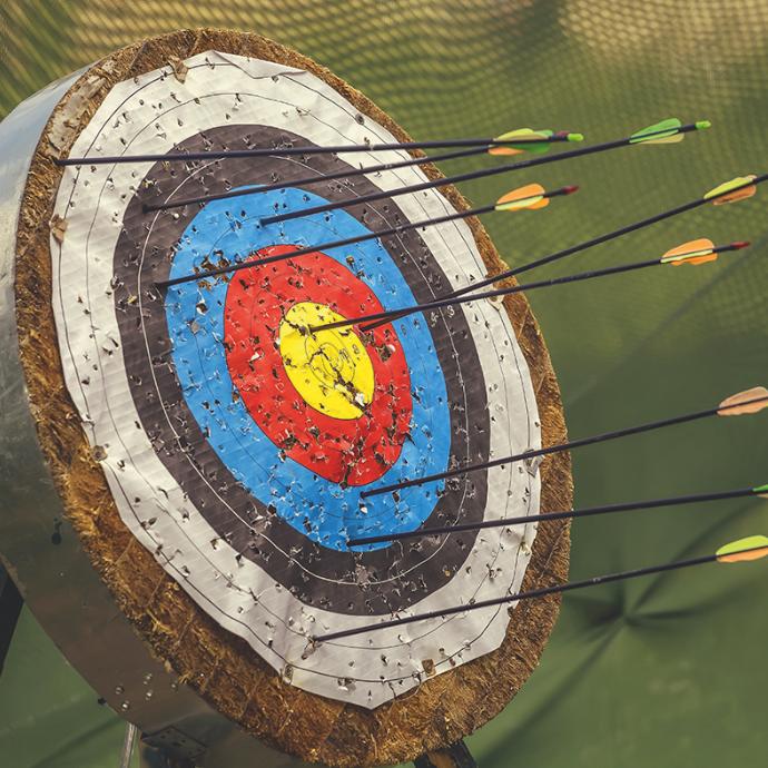 Zielscheibe mit Pfeilen