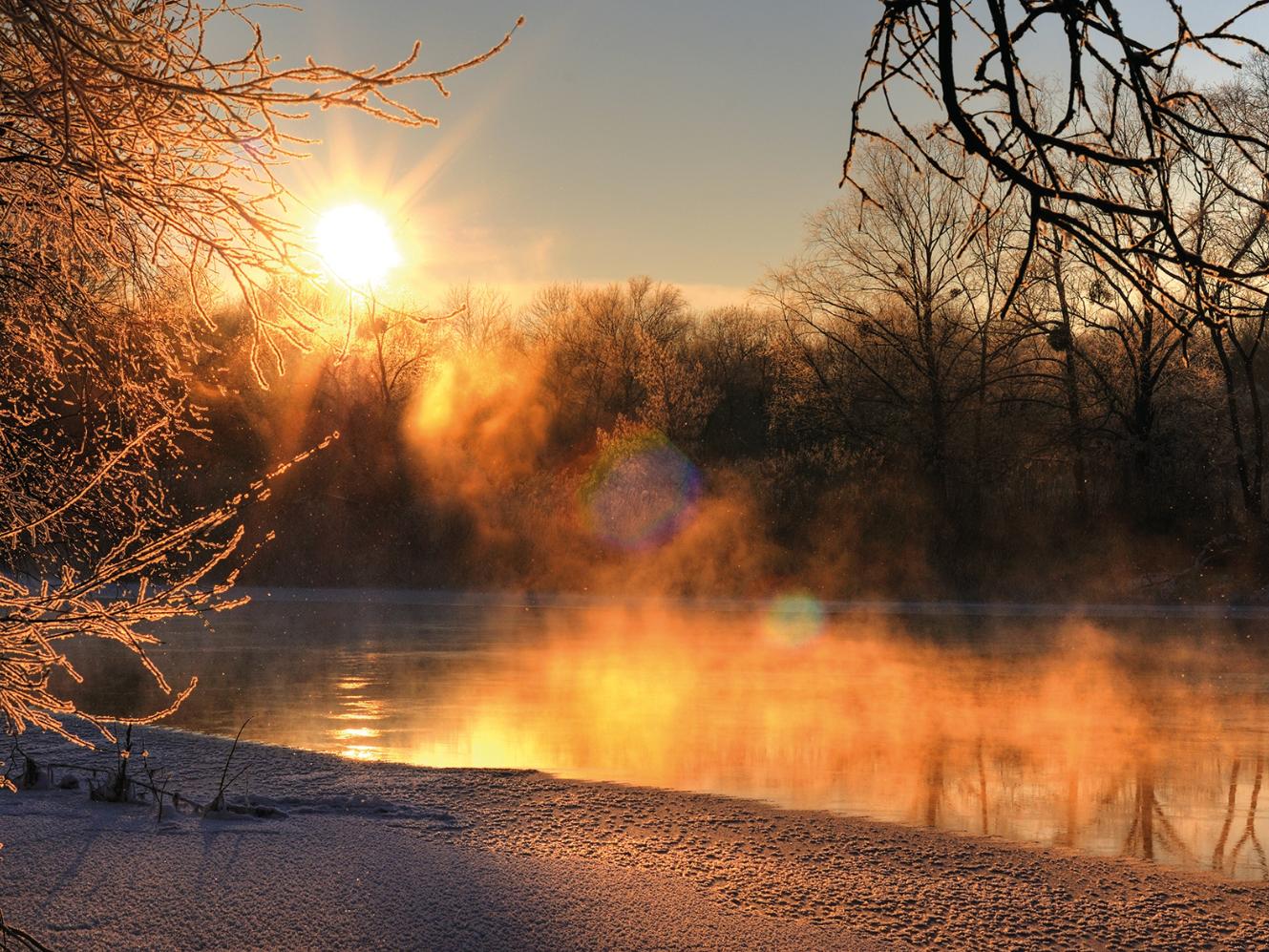 Schönes Abendpanorama eines Waldes