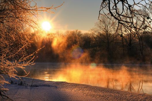 Schönes Abendpanorama eines Waldes