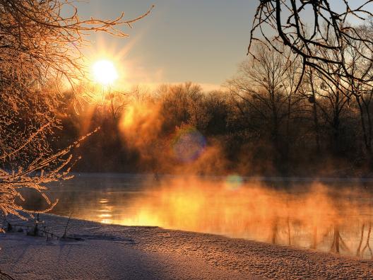 Schönes Abendpanorama eines Waldes