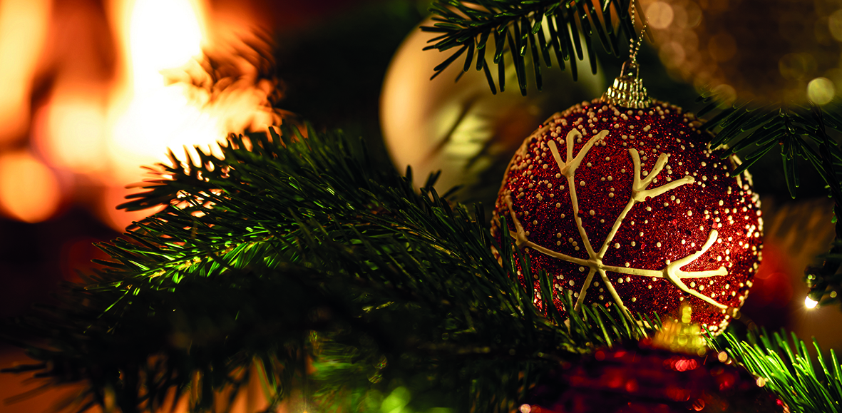 Weihnachtsbaum Nahaufnahme