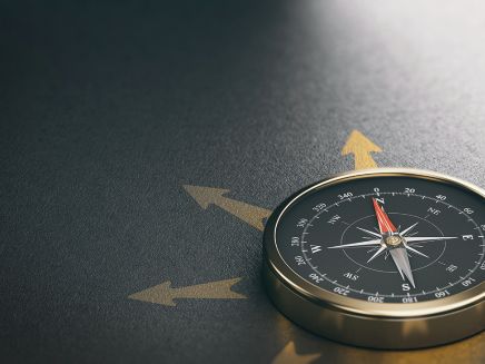 Compass for Business Orientation or Professional Guidance. Decision Help